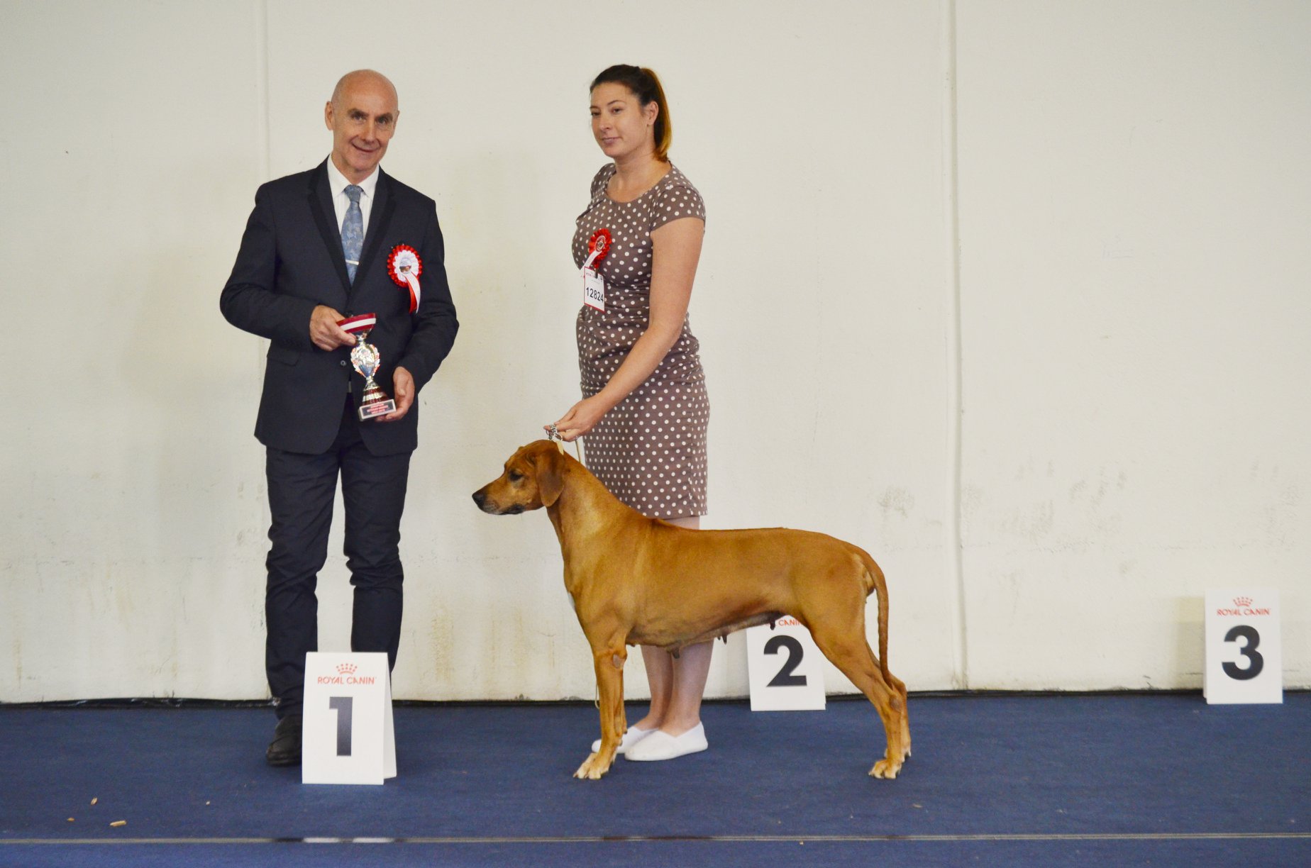 Austrian winner and EDS 2019 Wels (AT)